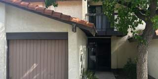 Beautiful Condo For Rent Gallery 1