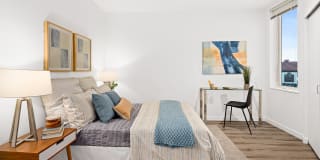 Colina Gallery 8