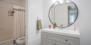 Treehouse Apartments Gallery 17