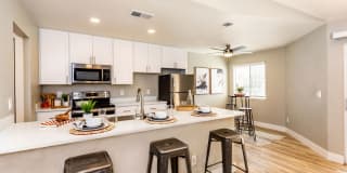 The Marc @ 1600 Gallery 2