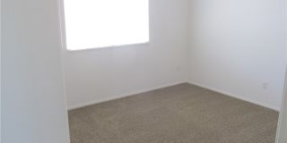 8513 ORLY Avenue Gallery 19
