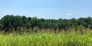 1031 Ridgestone Court Gallery 62