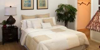 RidgeGate Apartments Gallery 8