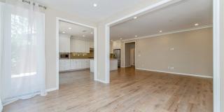 65 Island Coral Gallery 4