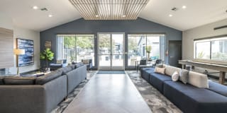 Cypress Creek Gallery 10