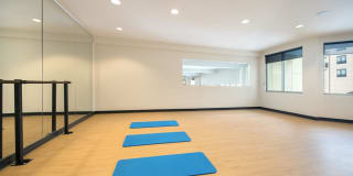 Axis Gallery 15