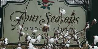 Four Seasons Gallery 1