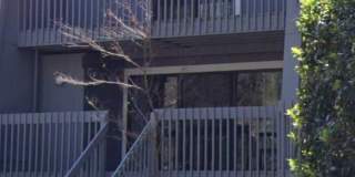 Kingbury Greens HOA 2 bedroom 2bath in Alta Sierra Gallery 1