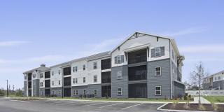 HoM at Pooler Gallery 31