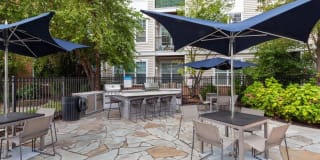 Sofi Lyndhurst Gallery 20