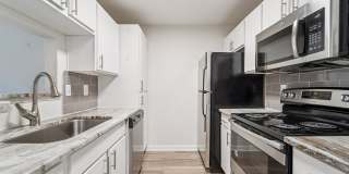 Derby at Steeplechase Gallery 41