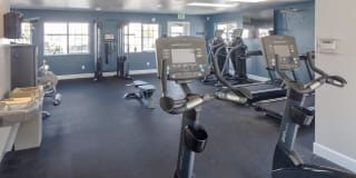 Avana Evergreen Gallery 42