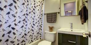 High End LOHI Townhome Available in June! Gallery 4