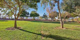 Crescent Ridge Gallery 90