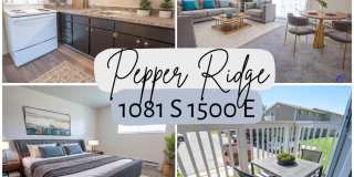 Pepper Ridge Gallery 6