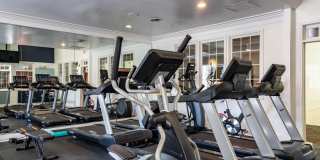 The Chapman Gallery 5