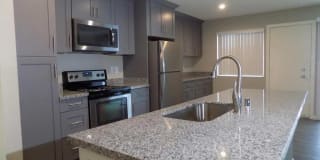 The Palms The Palms Gallery 9