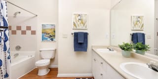 Bexley Square at Concord Mills Gallery 25