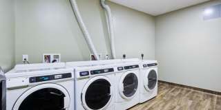 Eleanor Eleanor Gallery 25