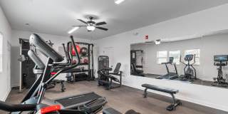 Autumn Falls - Brand New! Gallery 34