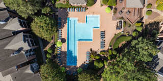 Cary Greens at Preston Gallery 46