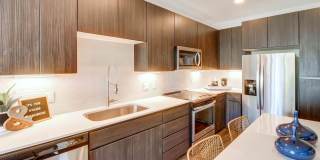 Preston at Biltmore Gallery 1