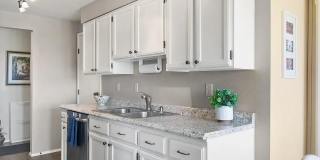 Fully Furnished View Condo Gallery 6