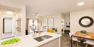Adobe Ridge Gallery 4