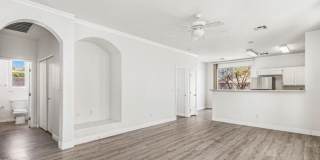 2520 Bottle Palm Court Gallery 15