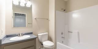 Lion Tempe Gallery 14