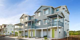 Blue Oak Apartments Gallery 21