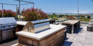 The Addison Berkeley Gallery 35