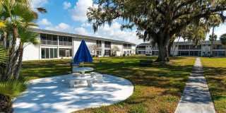 202 46TH AVENUE Terrace W Gallery 20