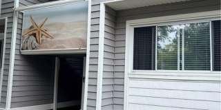 504 Ocean Trace Arch Gallery 1