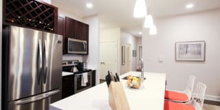 Empire Run Gallery 6