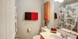 Autumn View Gallery 11