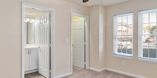 Pepperstone Gallery 2