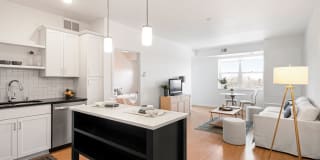 Grand & Syndicate Apartments Gallery 2