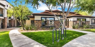 Town Center Apartments Gallery 3
