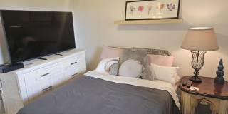 3138 Via Poinciana Gallery 11