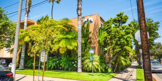 1951 Frank St. / 2519 Virginia Ave Gallery 50