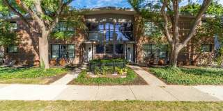 ONE11 COLLECTION - ROYAL OAK Gallery 82