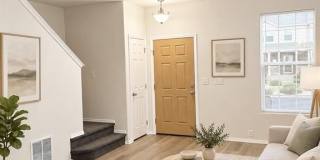 7362 Little Jimmy Grove Gallery 1