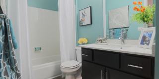 Shadow Ridge Apartments Gallery 12