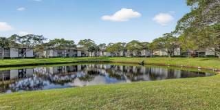Advenir at Banyan Lake Gallery 23