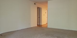 Coming Soon! Spacious 2BR, 2BA Condo in Desirable Chapel Hill Community Gallery 6