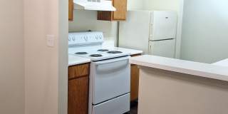 3240 Virginia Pines Lane Gallery 1