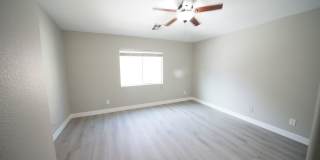 SHOWINGS AVAILABLE NOW Gallery 21