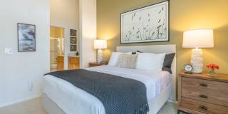 Colony Townhomes Gallery 72