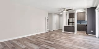 Olive View Gardens Olive View Gardens Gallery 19